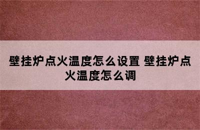 壁挂炉点火温度怎么设置 壁挂炉点火温度怎么调